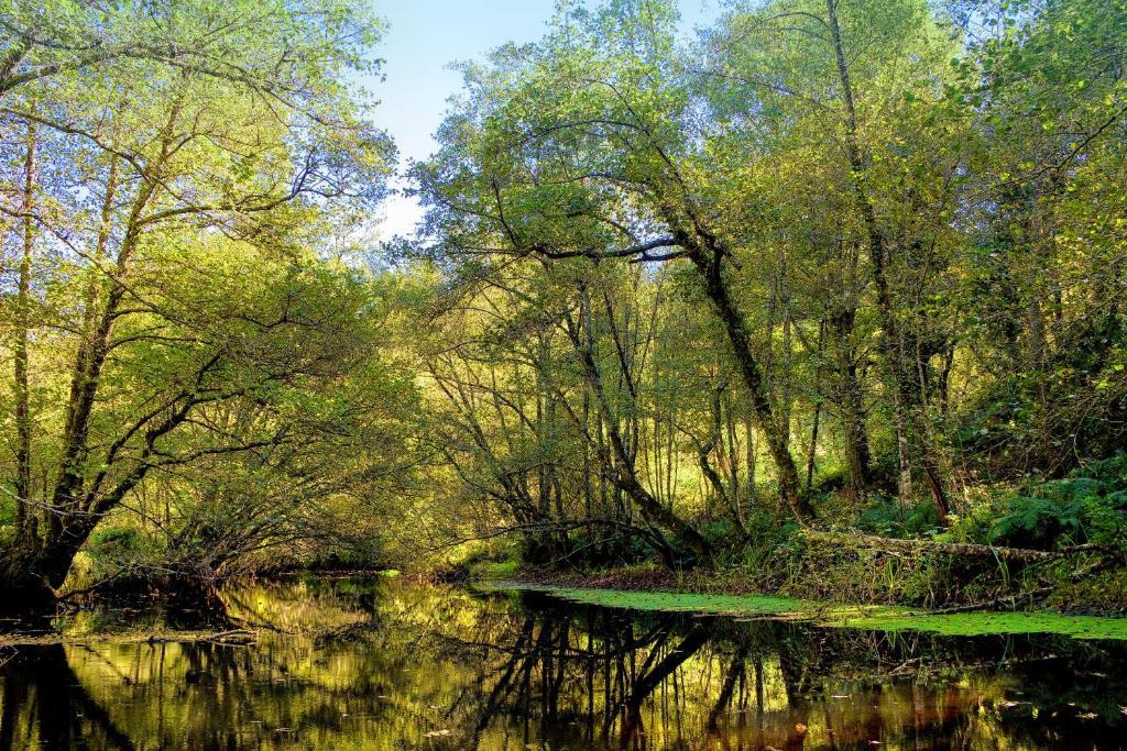 Balneario Río Pambre Palas de Rei